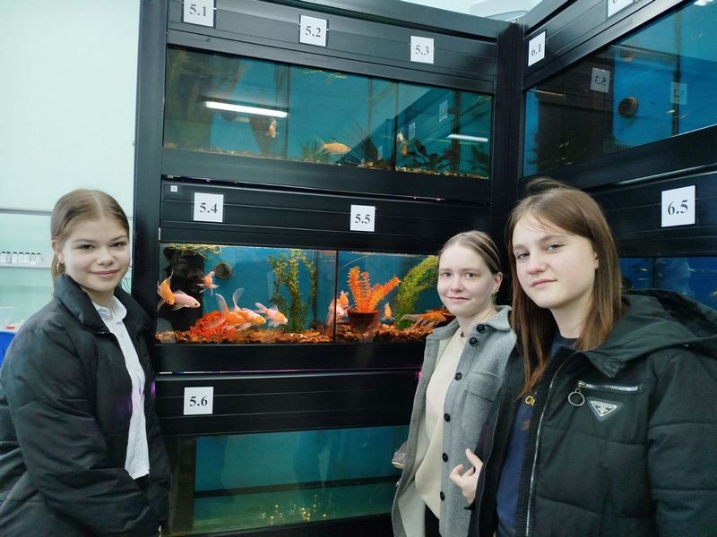 Учащиеся школ Кировского района