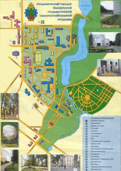 Схема академического городка БГСХА