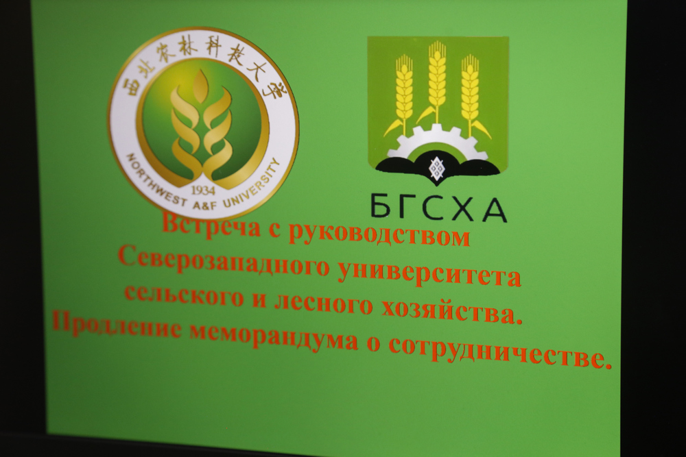 встреча