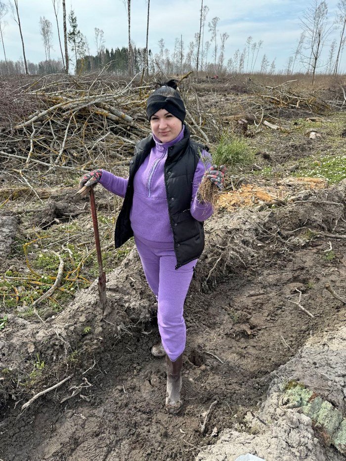 Благоустройство