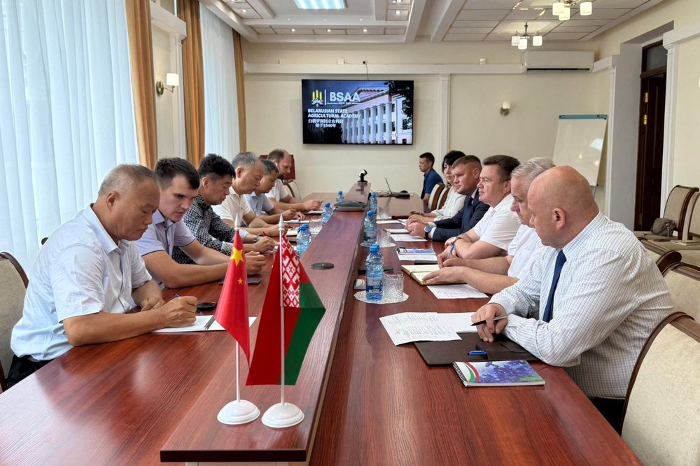 сотрудничество