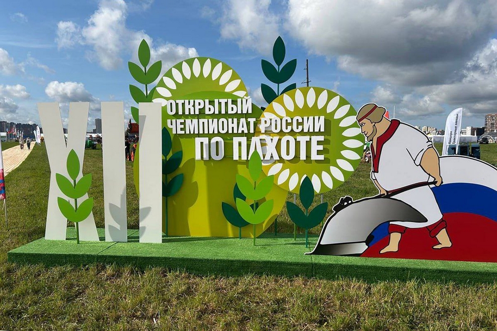 чемпионат
