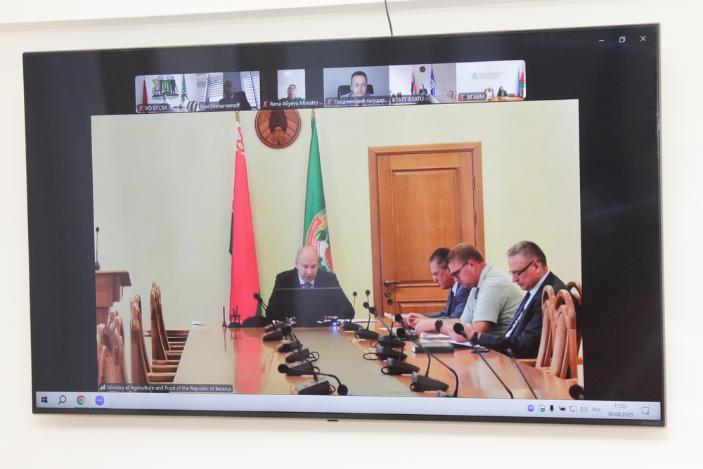 сотрудничество