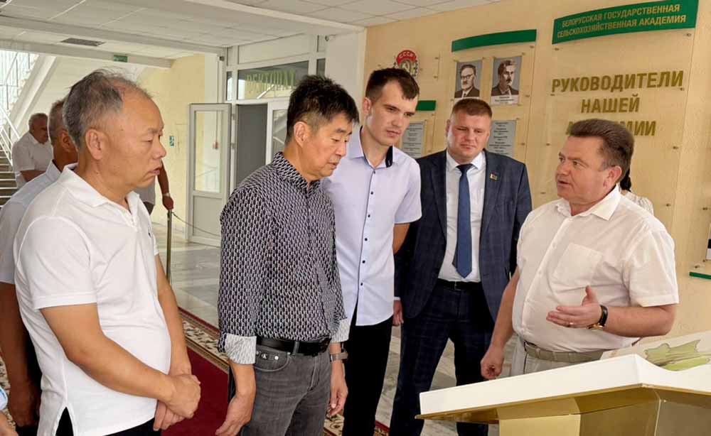 диалог