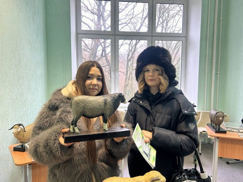 о нас пишут