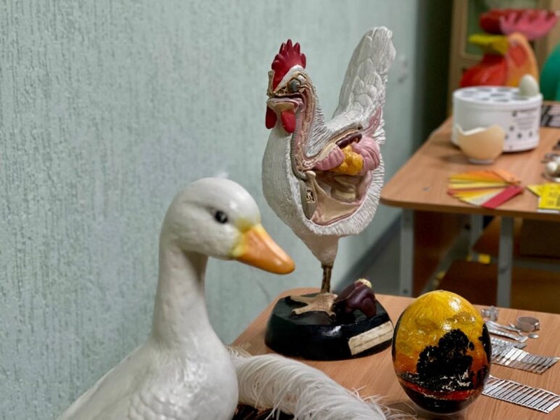 о нас пишут