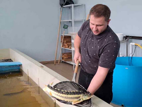 о нас пишут