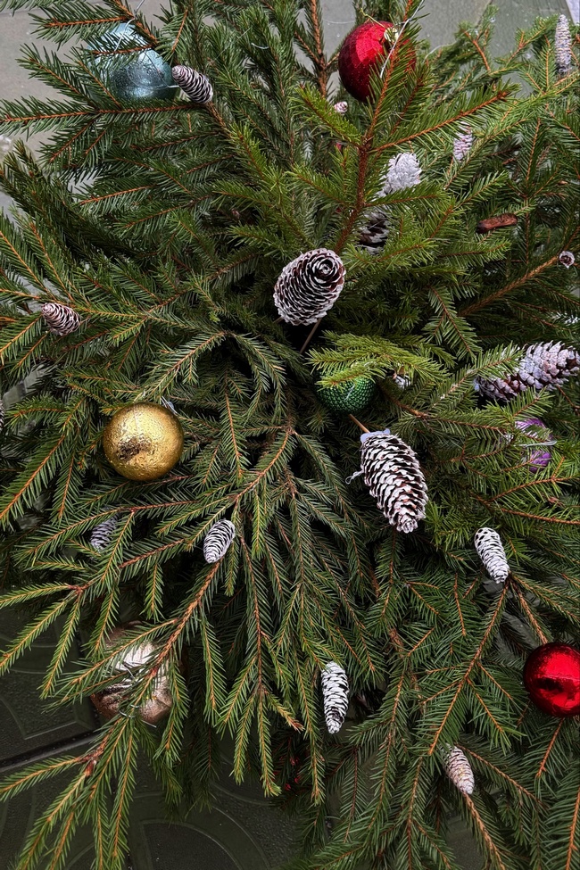 Новогодняя атмосфера