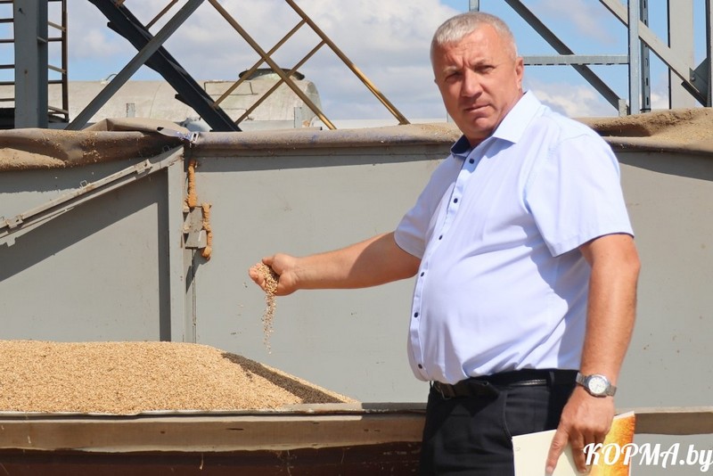 О нас пишут