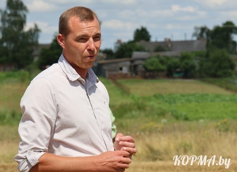 О нас пишут