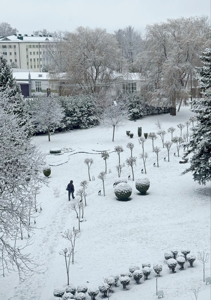 Благоустройство