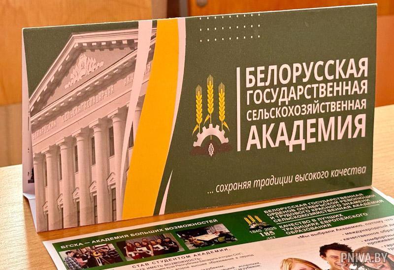 О нас пишут