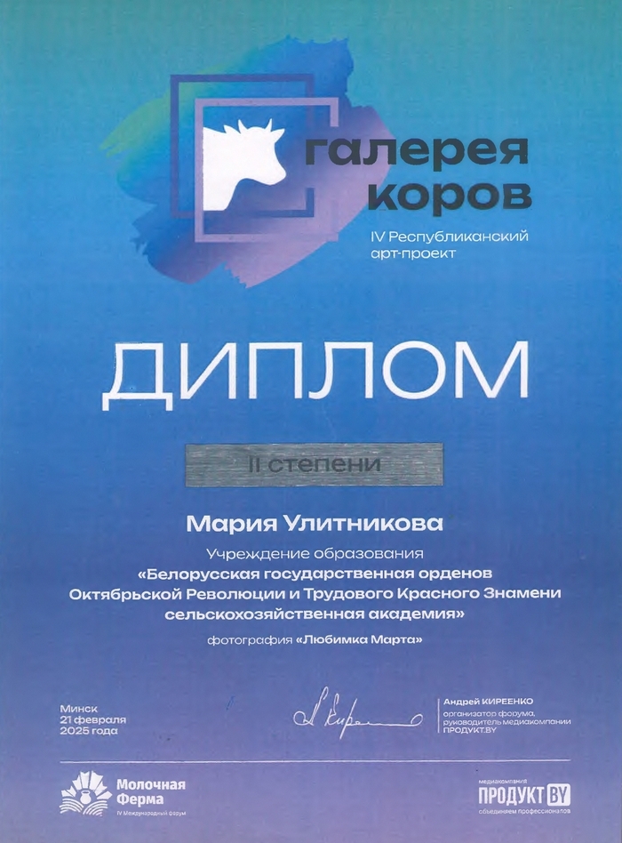 форум