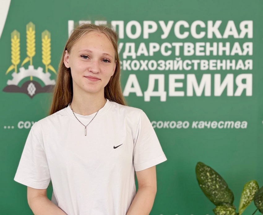 Подача документов