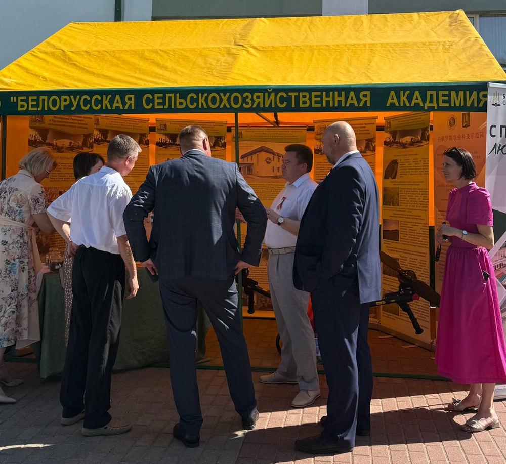 День Независимости