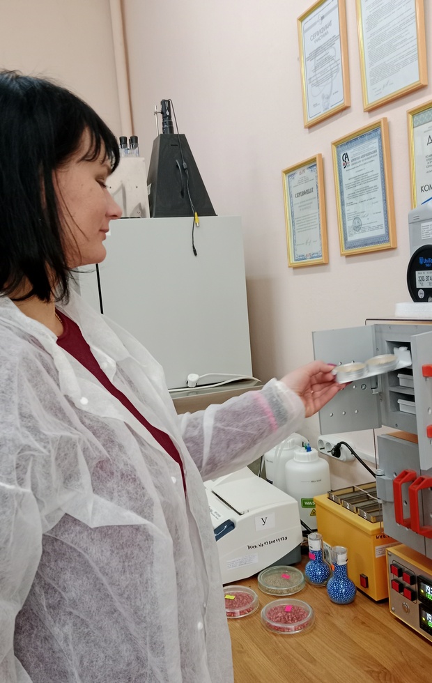 Стажировка
