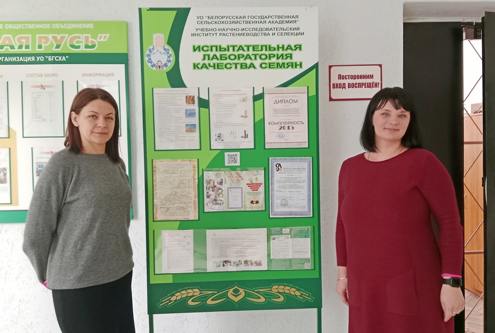 Стажировка