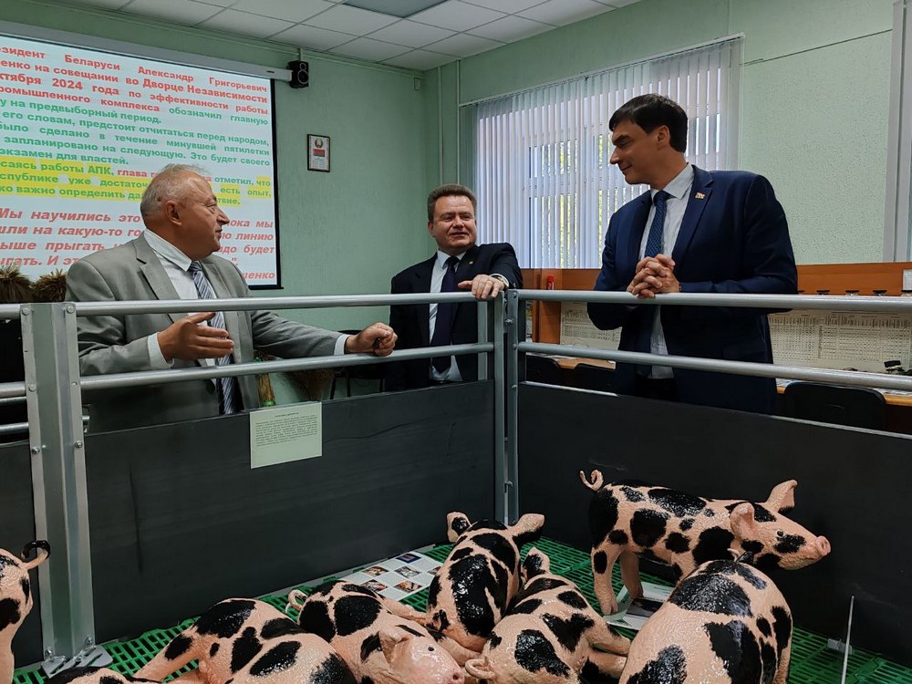 гость