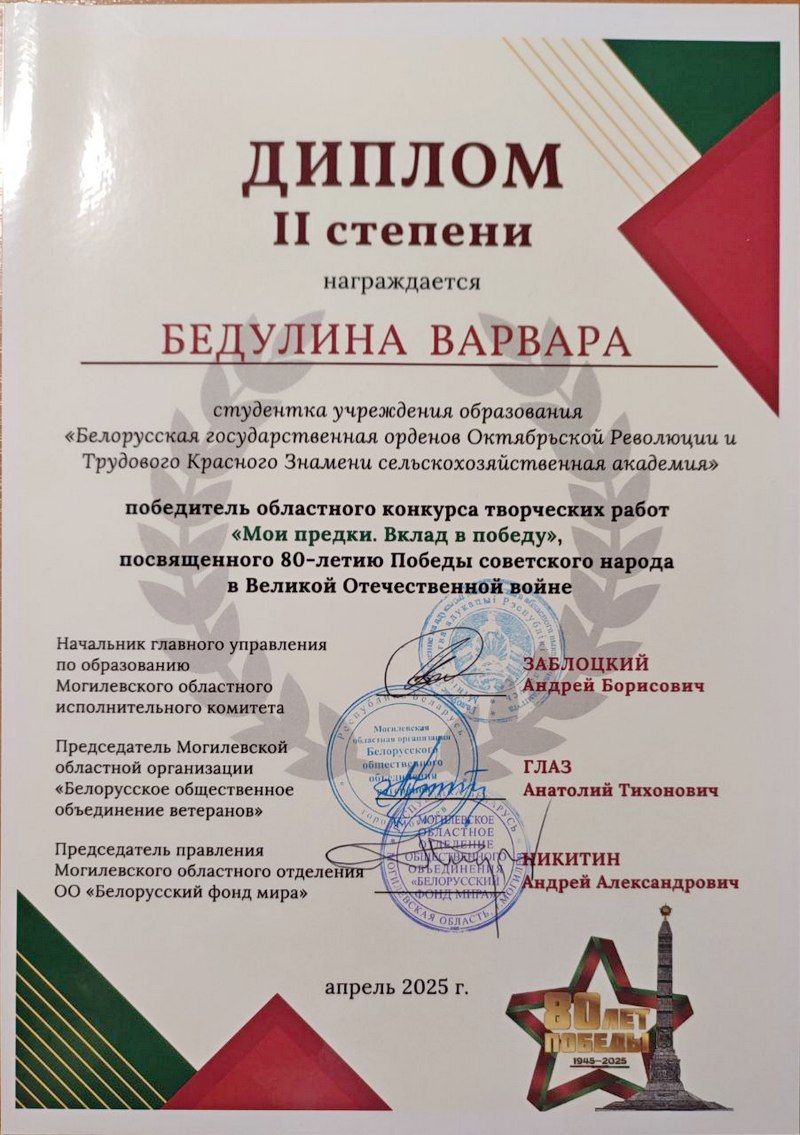 Мои предки. Вклад в Победу