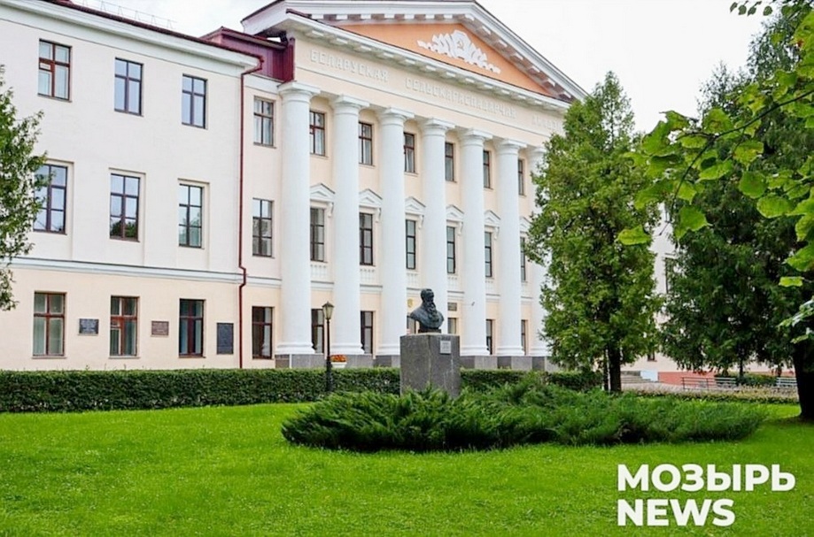 О нас пишут