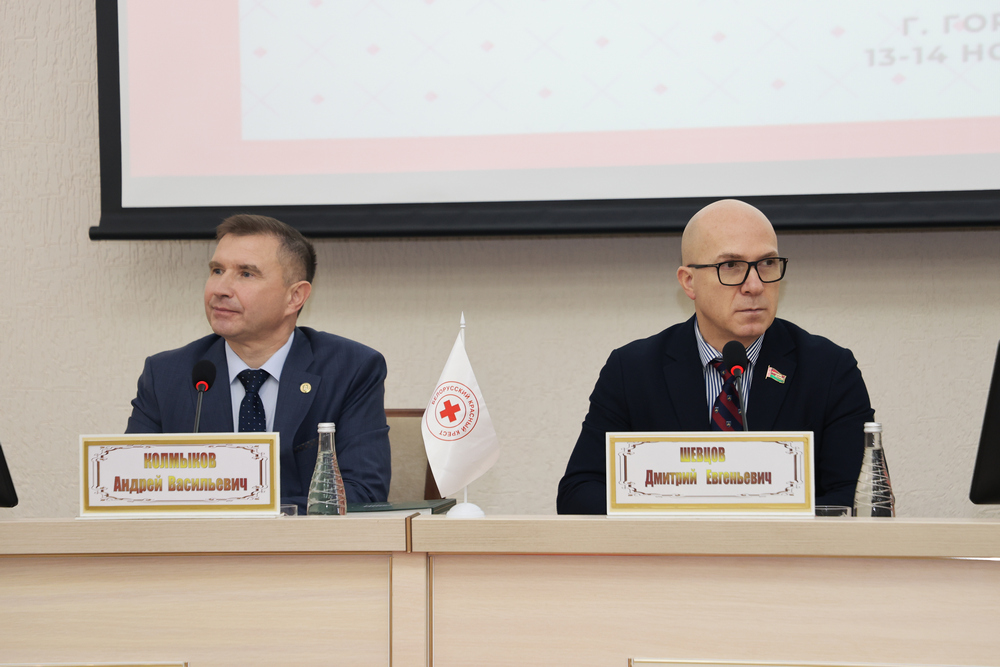 Волонтерская деятельность