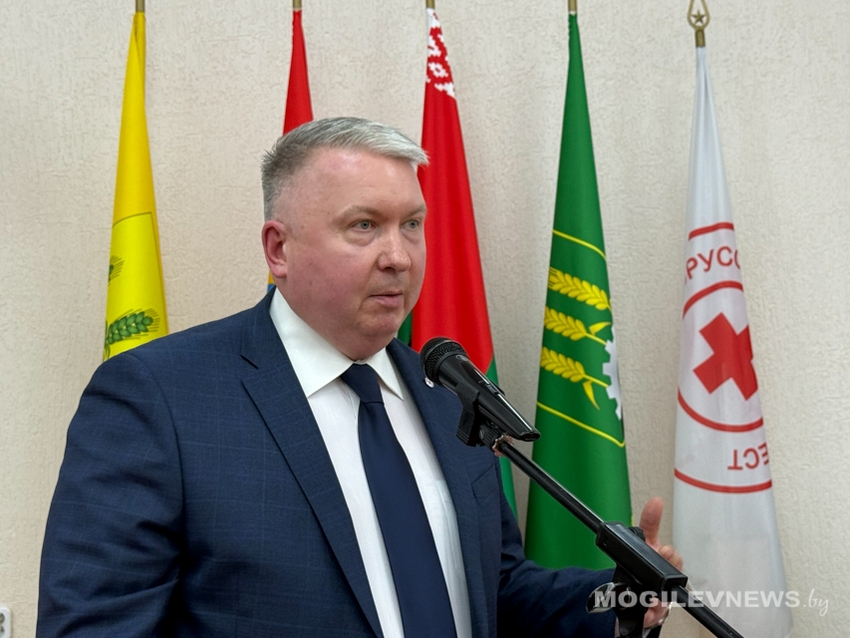 волонтерский фестиваль