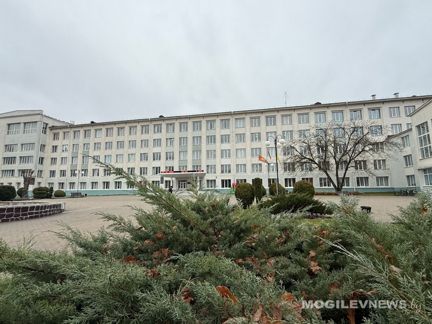 волонтерский фестиваль