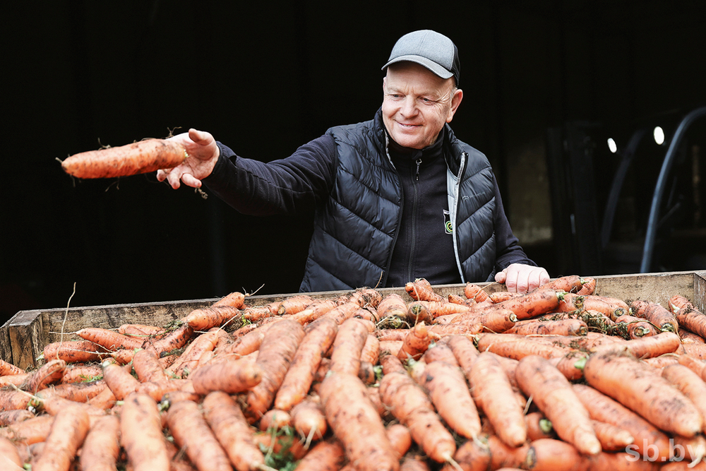 о нас пишут