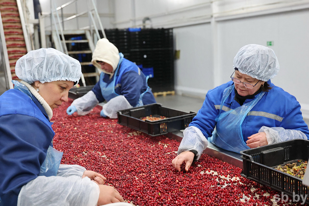 о нас пишут