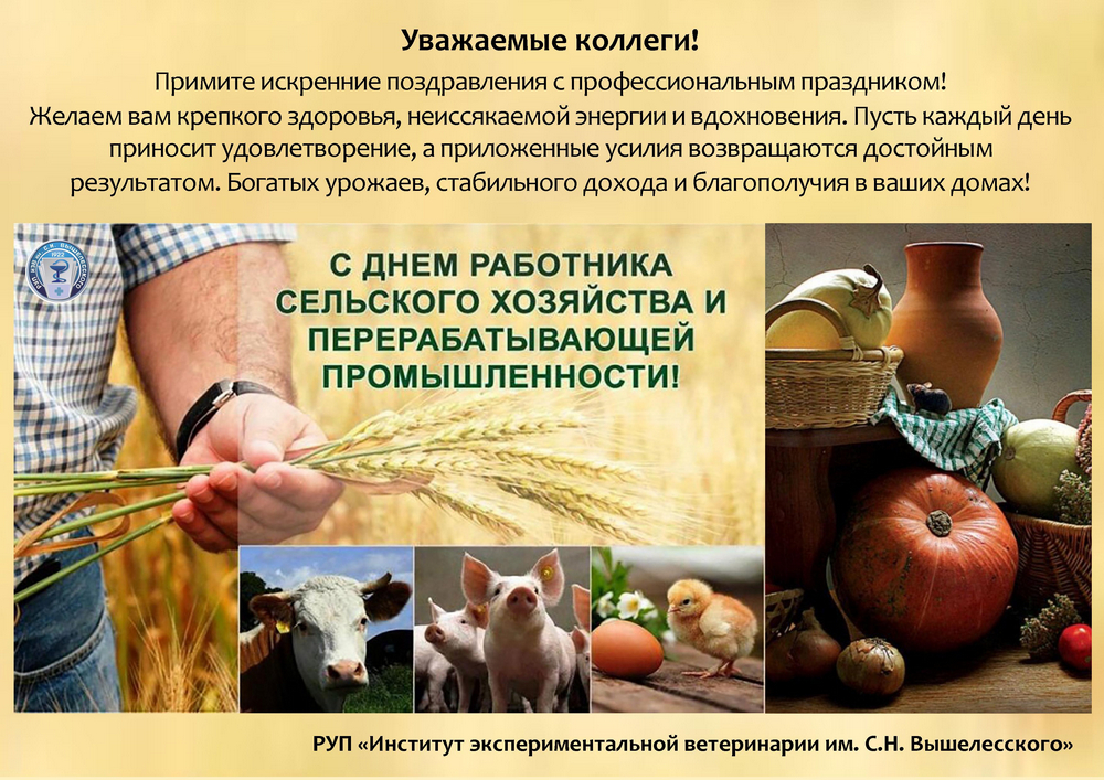 поздравления