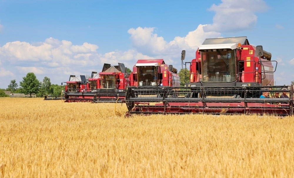 Каникулы с пользой