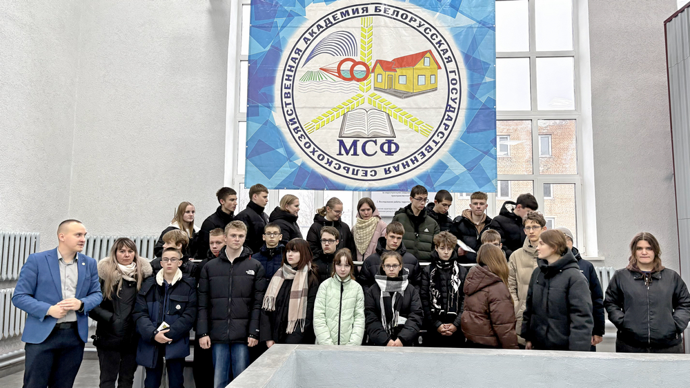 профориентация