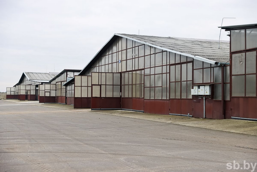 о нас пишут