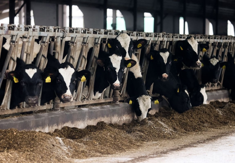 о нас пишут