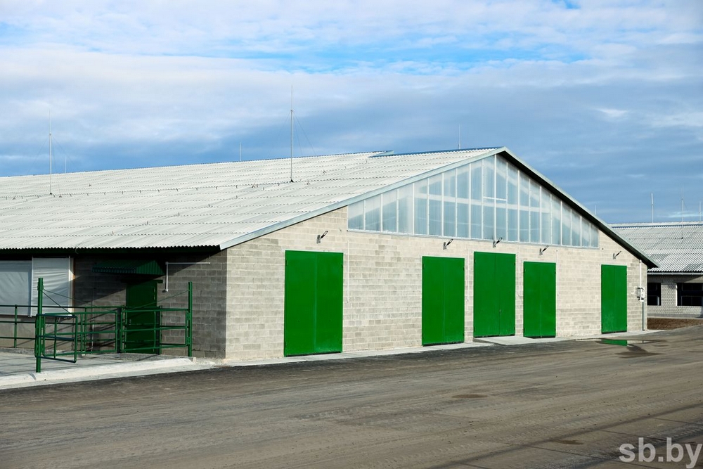 о нас пишут