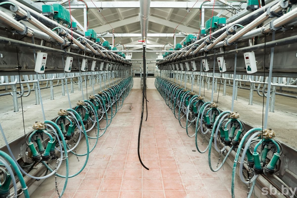 о нас пишут