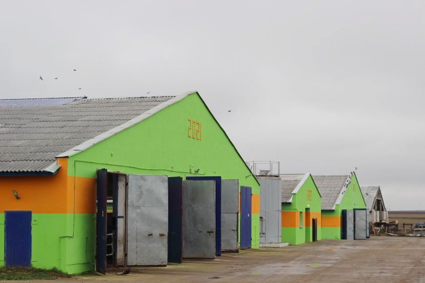 О нас пишут