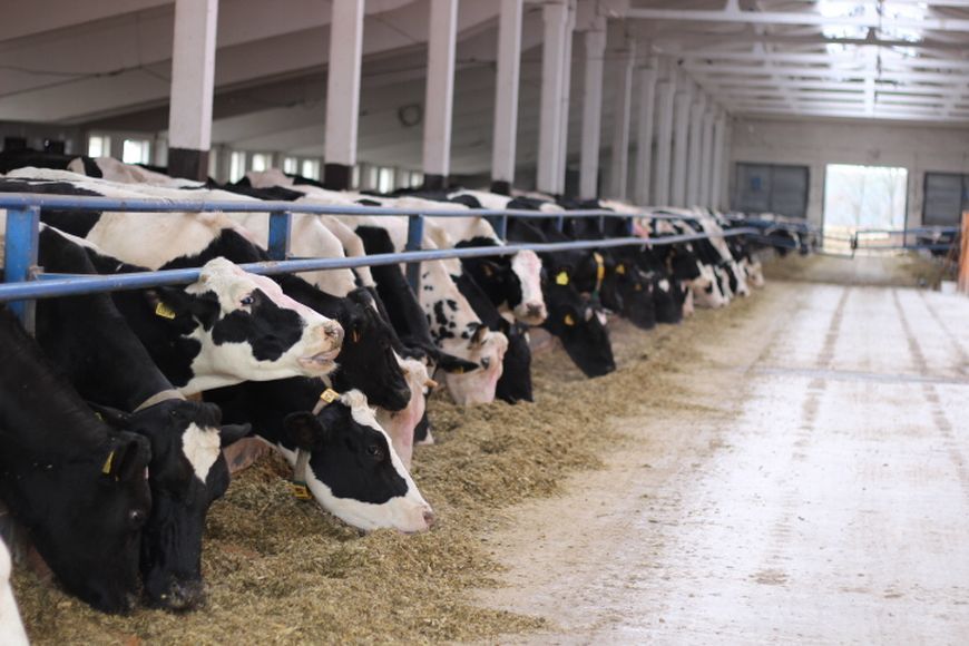 О нас пишут