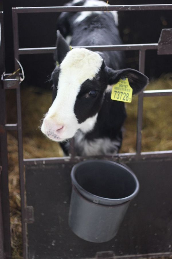 О нас пишут