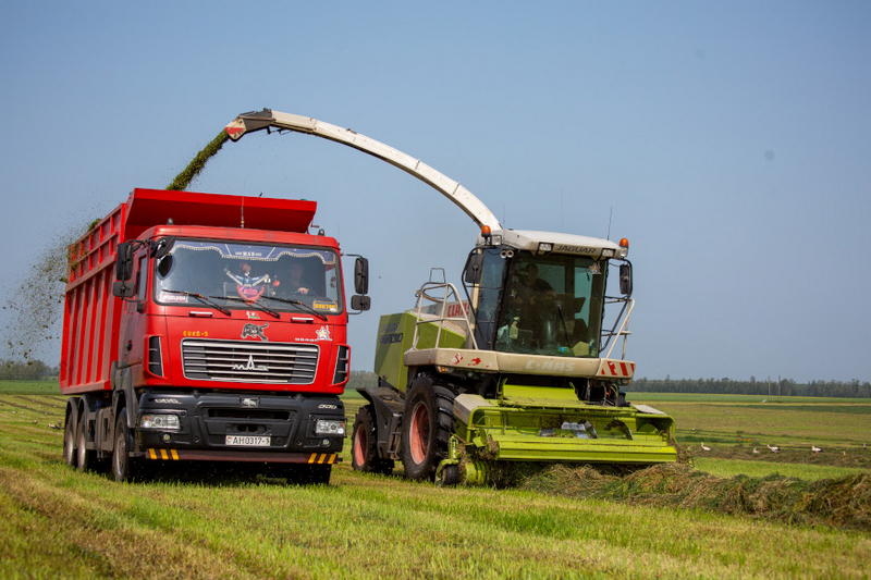 о нас пишут