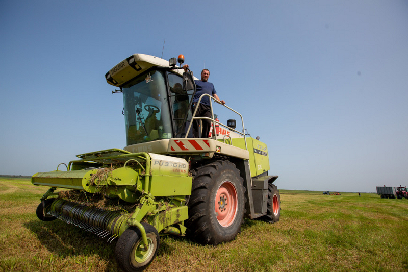 о нас пишут