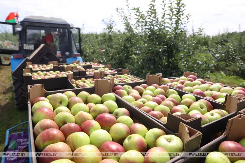 о нас пишут