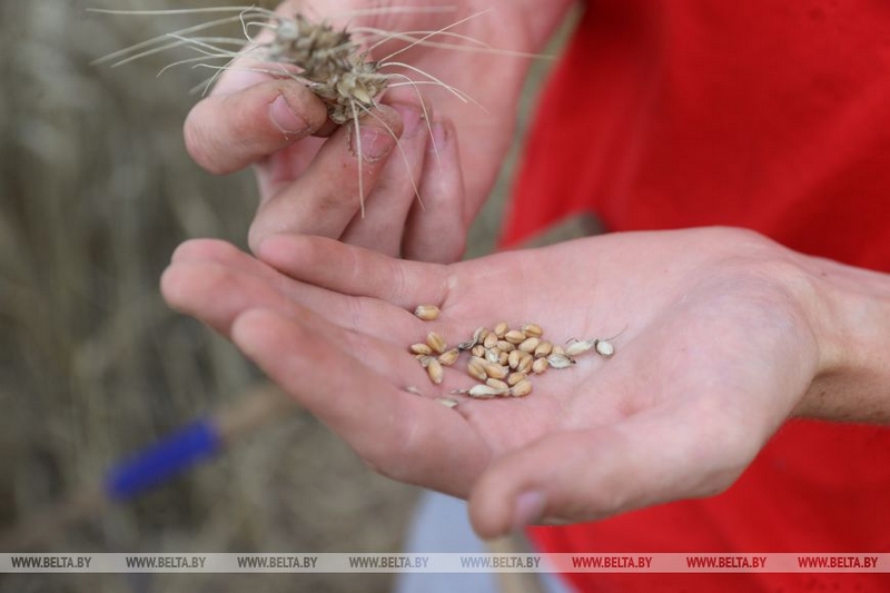 о нас пишут