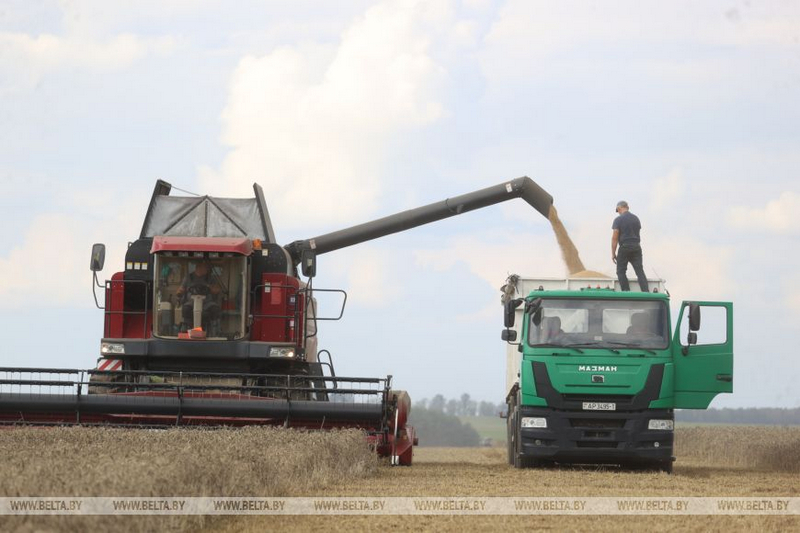 о нас пишут