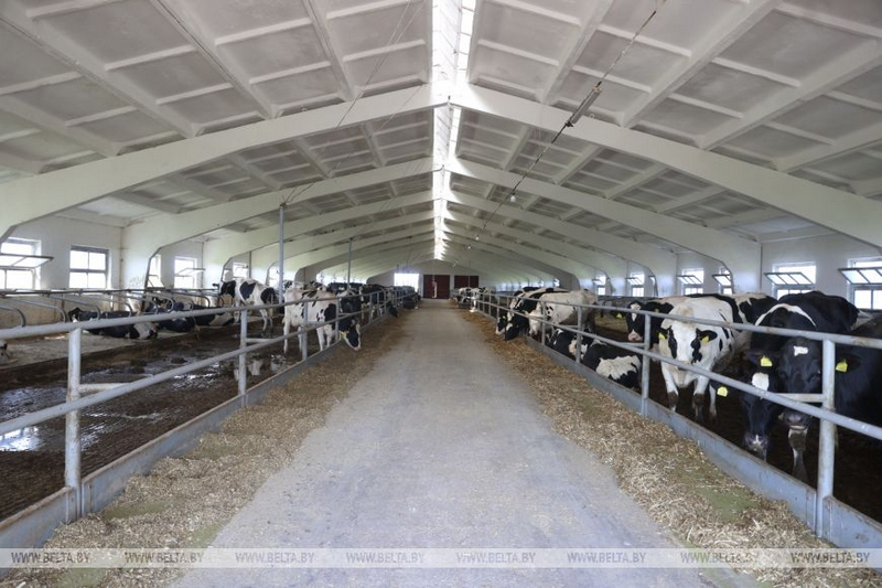 о нас пишут