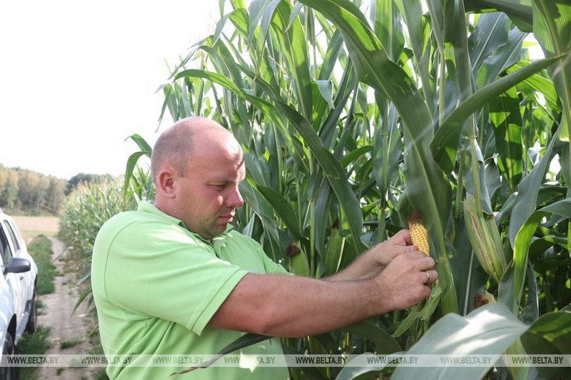 о нас пишут