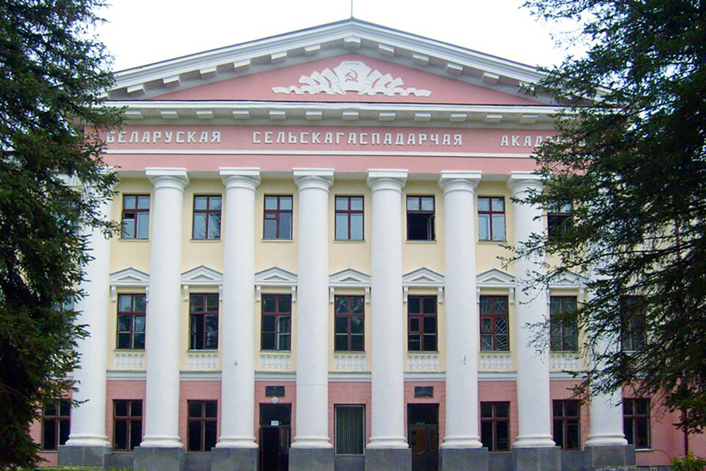 О нас пишут