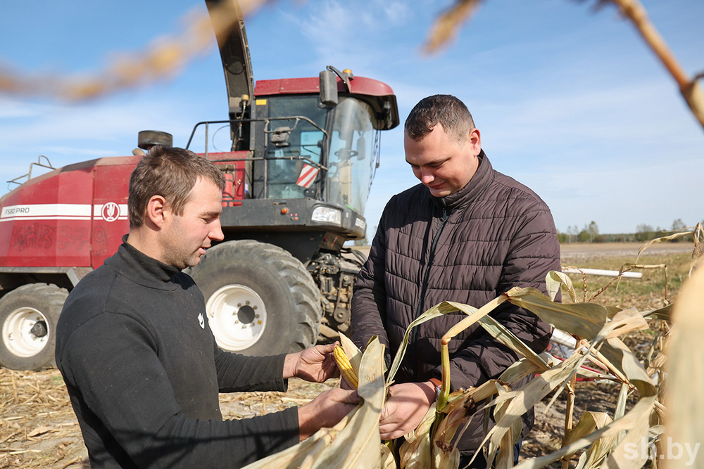 О нас пишут