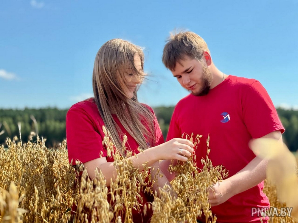 О нас пишут