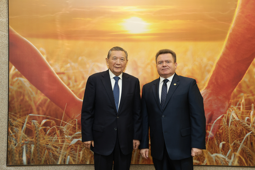 Сотрудничество
